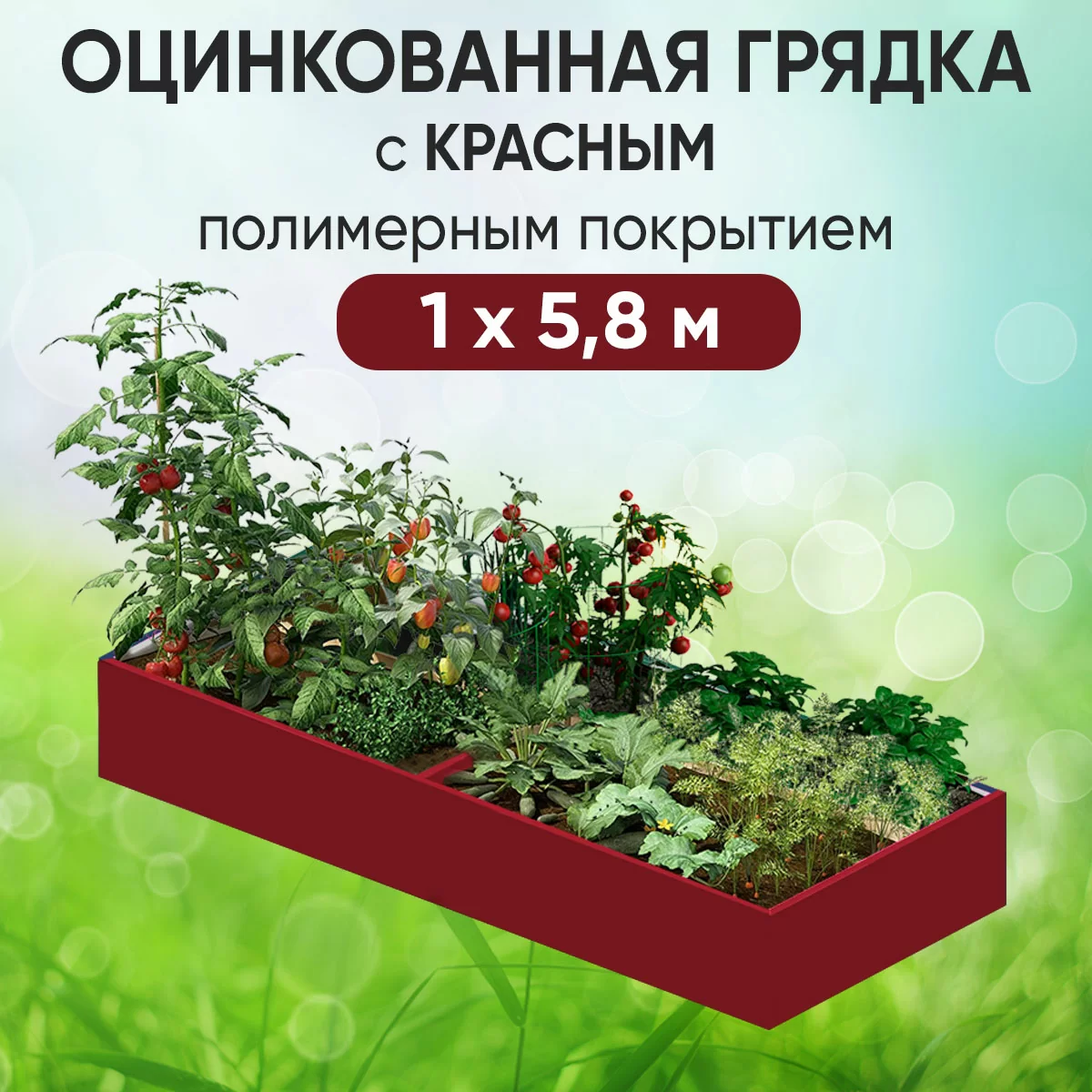 Грядка красная (1 х 5,8)